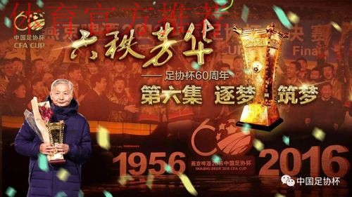足协杯纪录片《六秩芳华》第三集——平凡与不凡 足协杯纪录片《六秩芳华》第三集——平凡与不凡